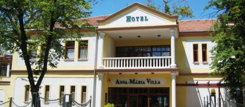 Anna-Mária Villa***