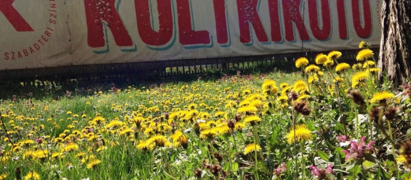 Kultkikötő