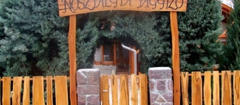 Nosztalgia Fagyizó