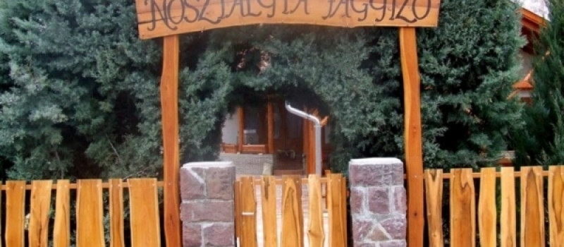 Nosztalgia Fagyizó